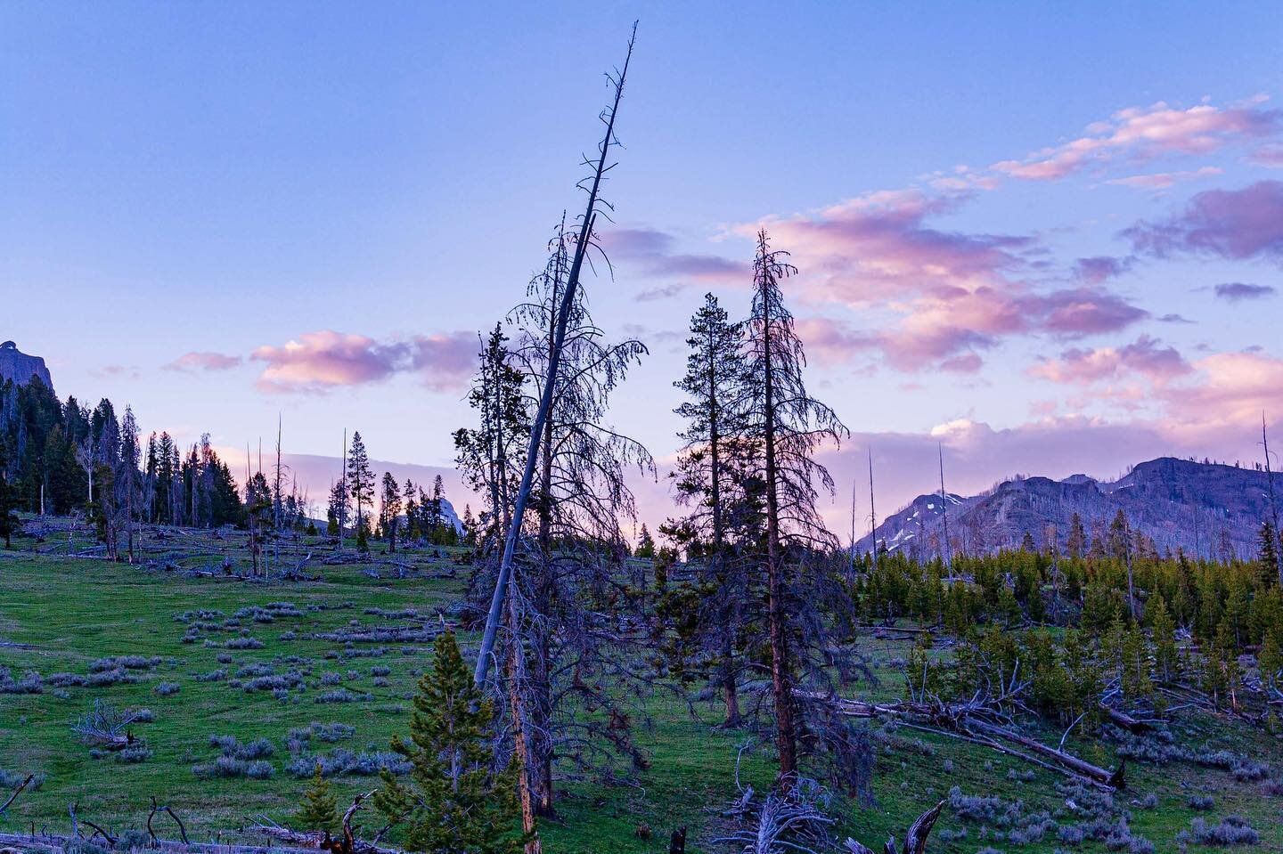 A couple of years ago we went hiking in the Lamar Valley in Yellowstone. I miss summer hiking right now and can&rsquo;t wait to get back out there again! You can read more about the hike in my blog, link in profile. 

https://ann-olsson.squarespace.c