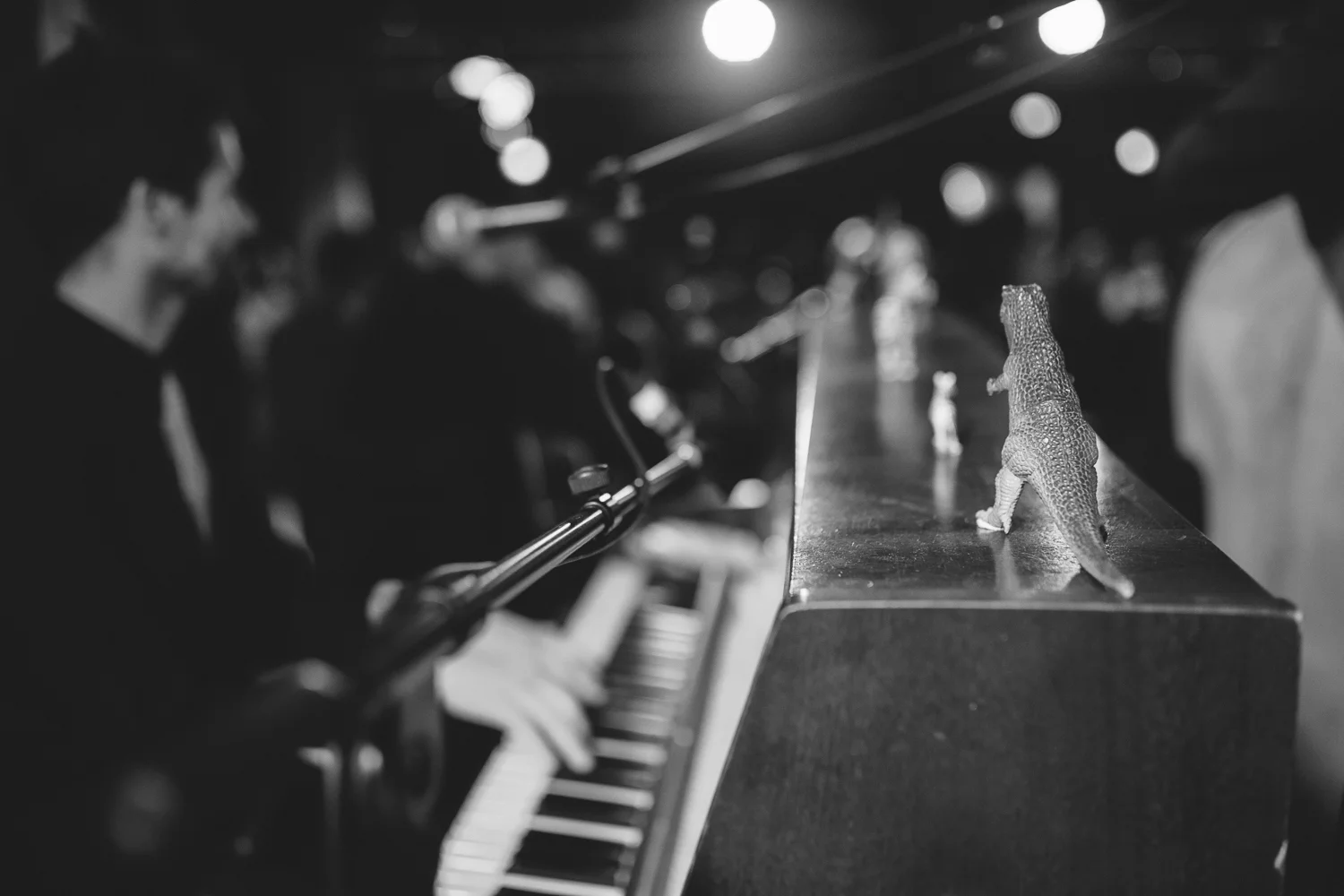 Grand Bal Swing à la Bellevilloise - https://www.facebook.com/photosForDancersOnly / http://www.ebobrie.com/brotherswing-parties/