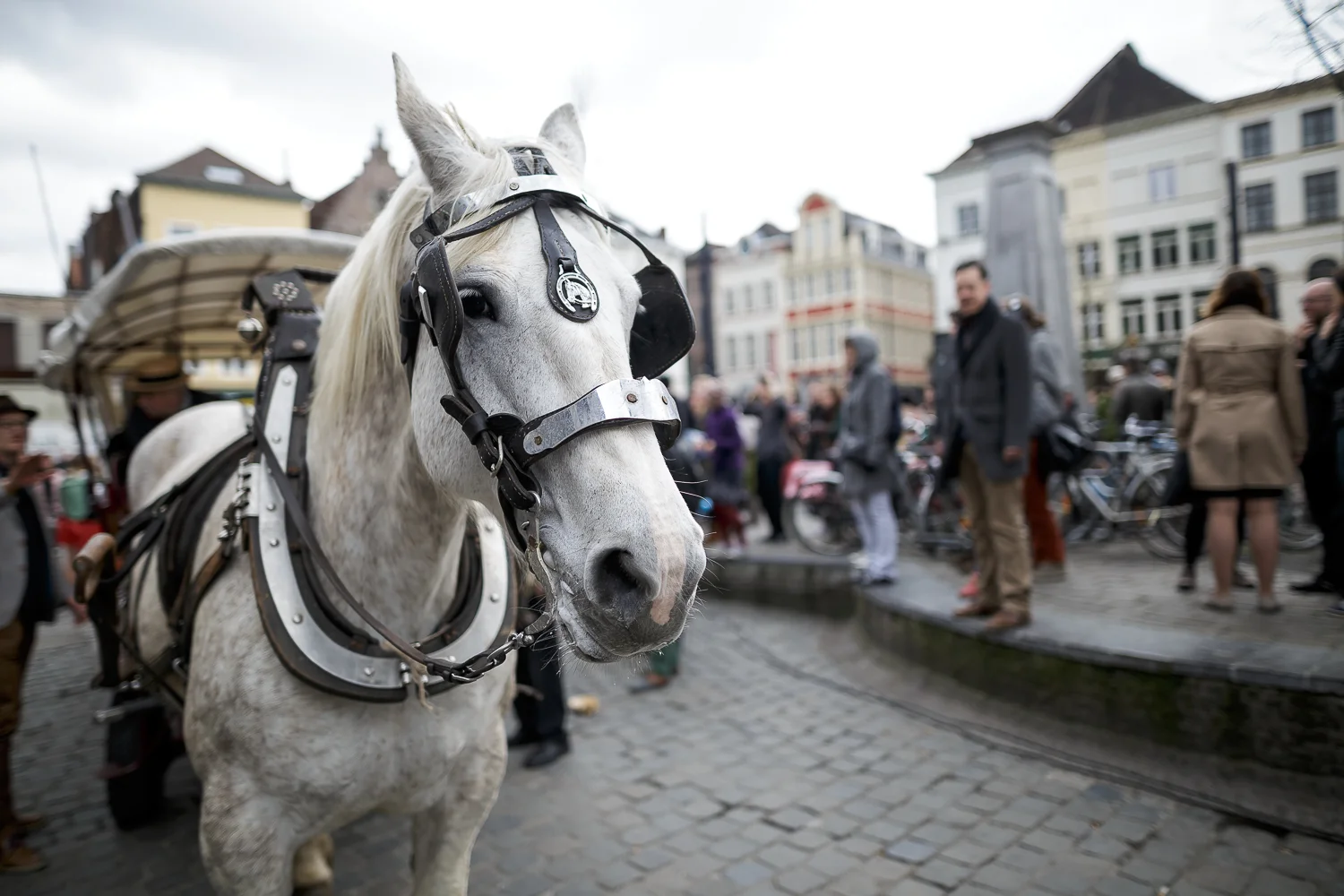 Gentse Hoppers Exchange 2015 - http://www.ebobrie.com/gentse-hoppers-exchange/ - https://www.facebook.com/photosForDancersOnly