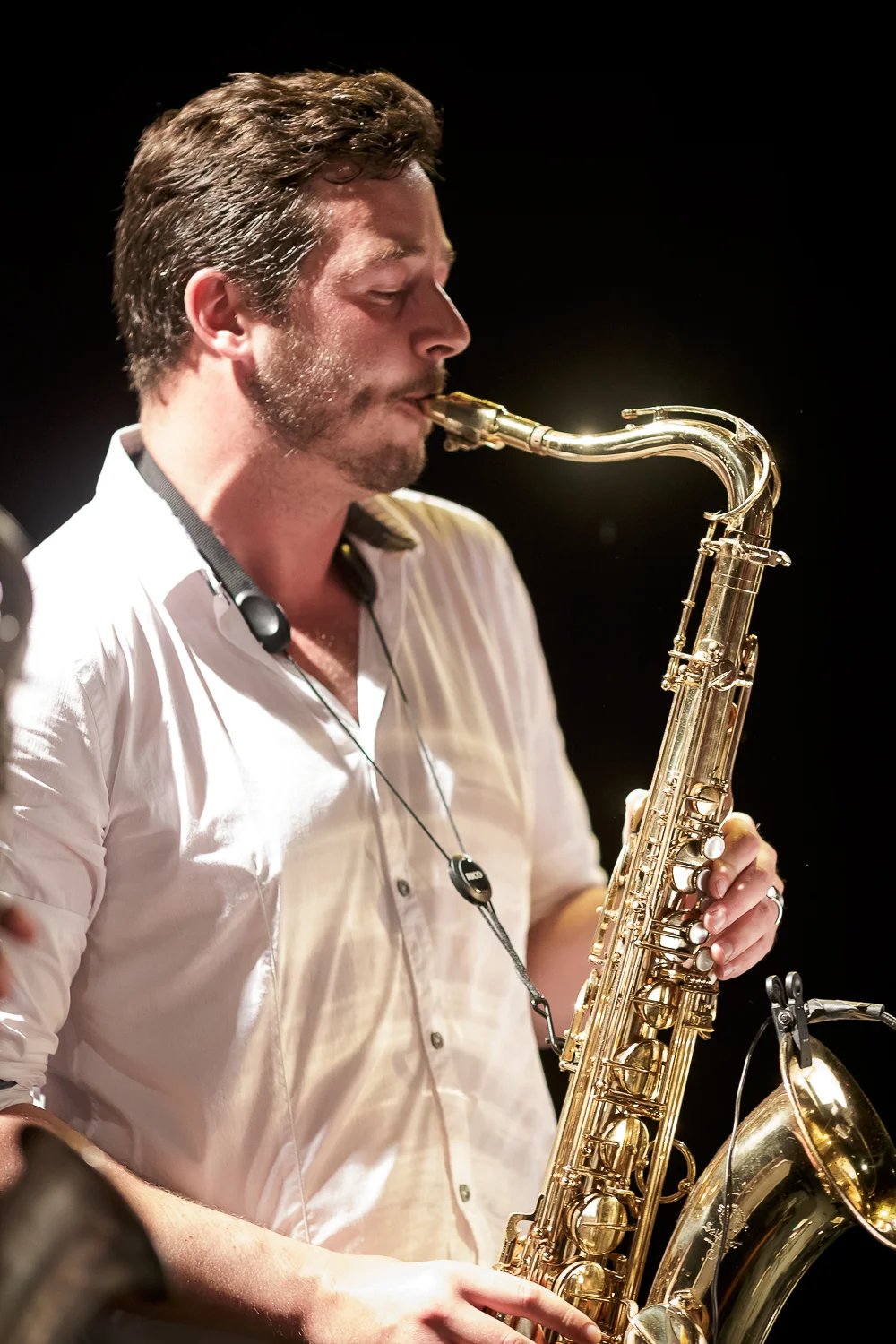 Grand Bal Swing au MAS avec les Jellyrolls Combo. For Dancers Only: http://d.pr/1fEEY - http://www.ebobrie.com/mas-09052015/