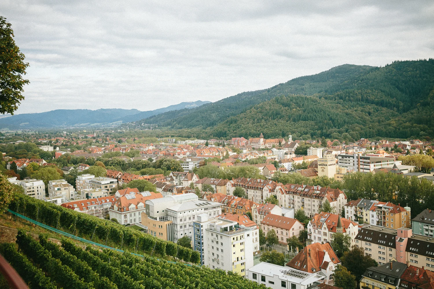 Lindy Cake in Freiburg - Photo Credit: For Dancers Only (http://d.pr/1fEEY) - http://www.ebobrie.com/lindy-cake-2015