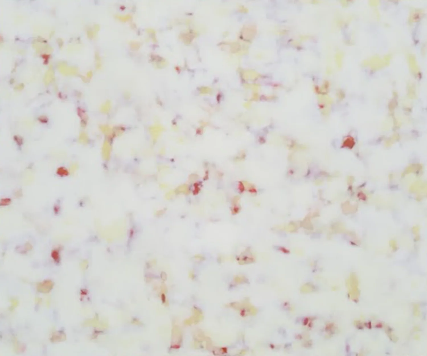 RTerry Drifting Field of Floweres.jpg