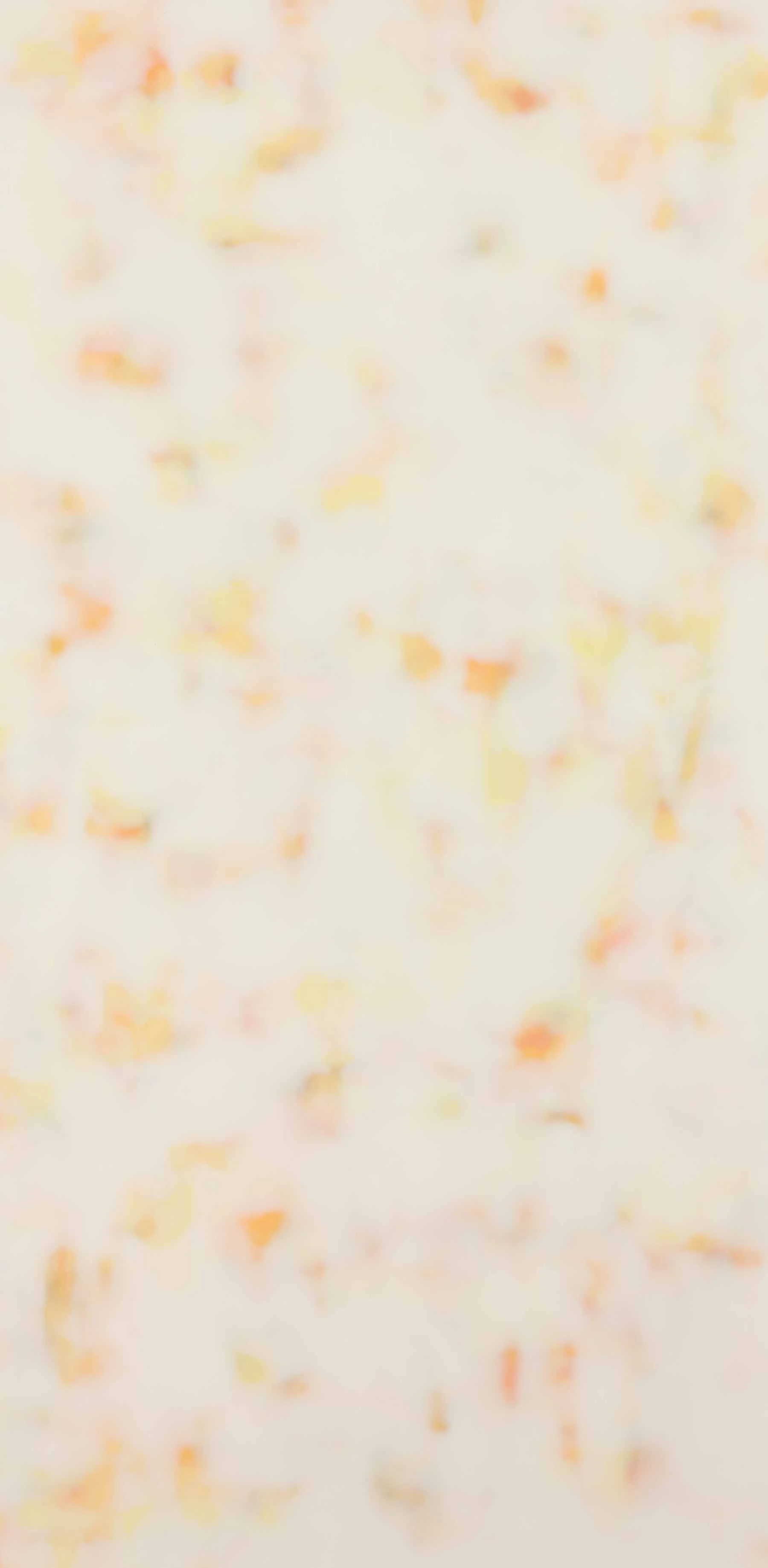 Chrysanthemum Fog