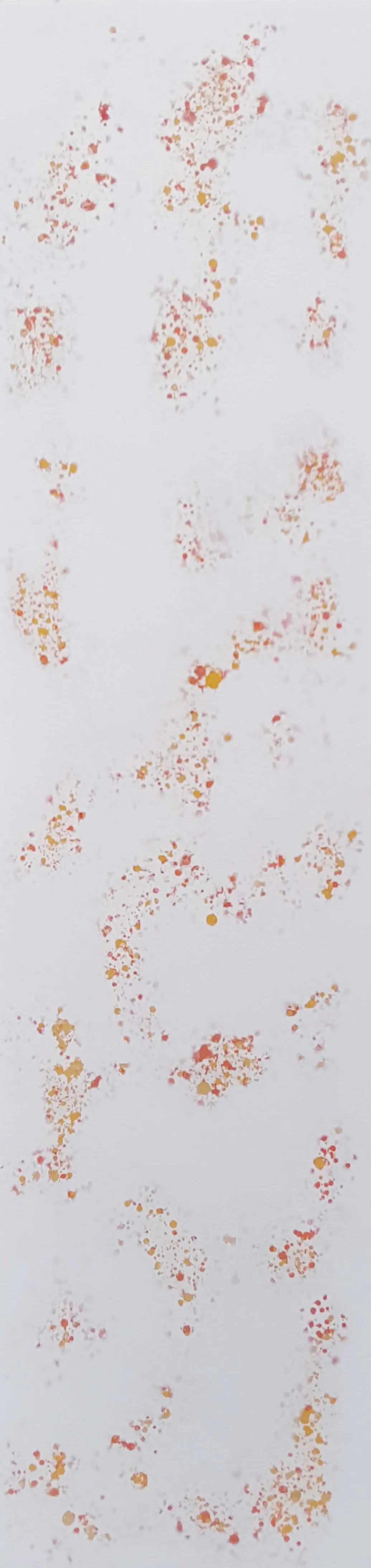 Autumnal Nebula