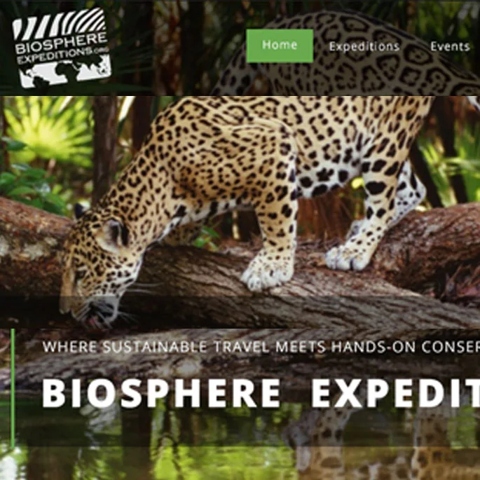 BIOSPHERE EXPEDITIONS - Consultation and interface design for this award-winning wildlife conservation and voluntourism organisation.