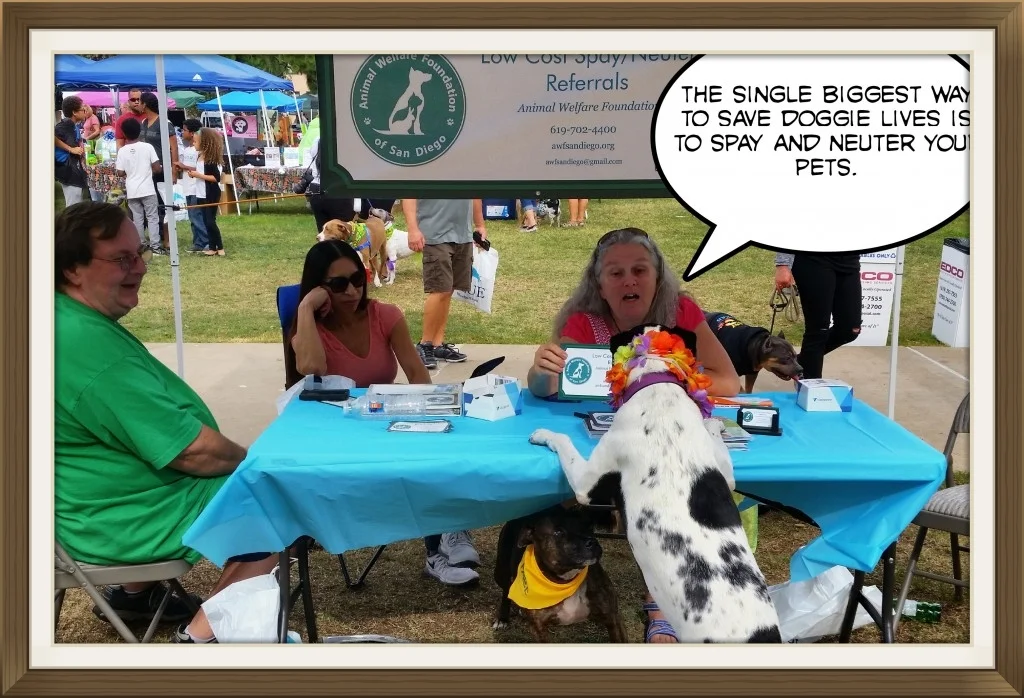 Our first public outreach was very successful.