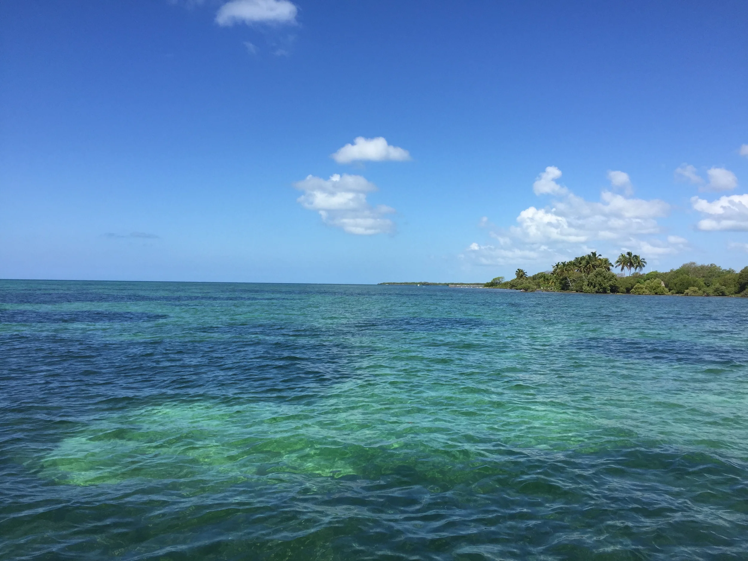 Louisiana Marsh to Florida Flats and Back - Southern Fly Expeditions LLC