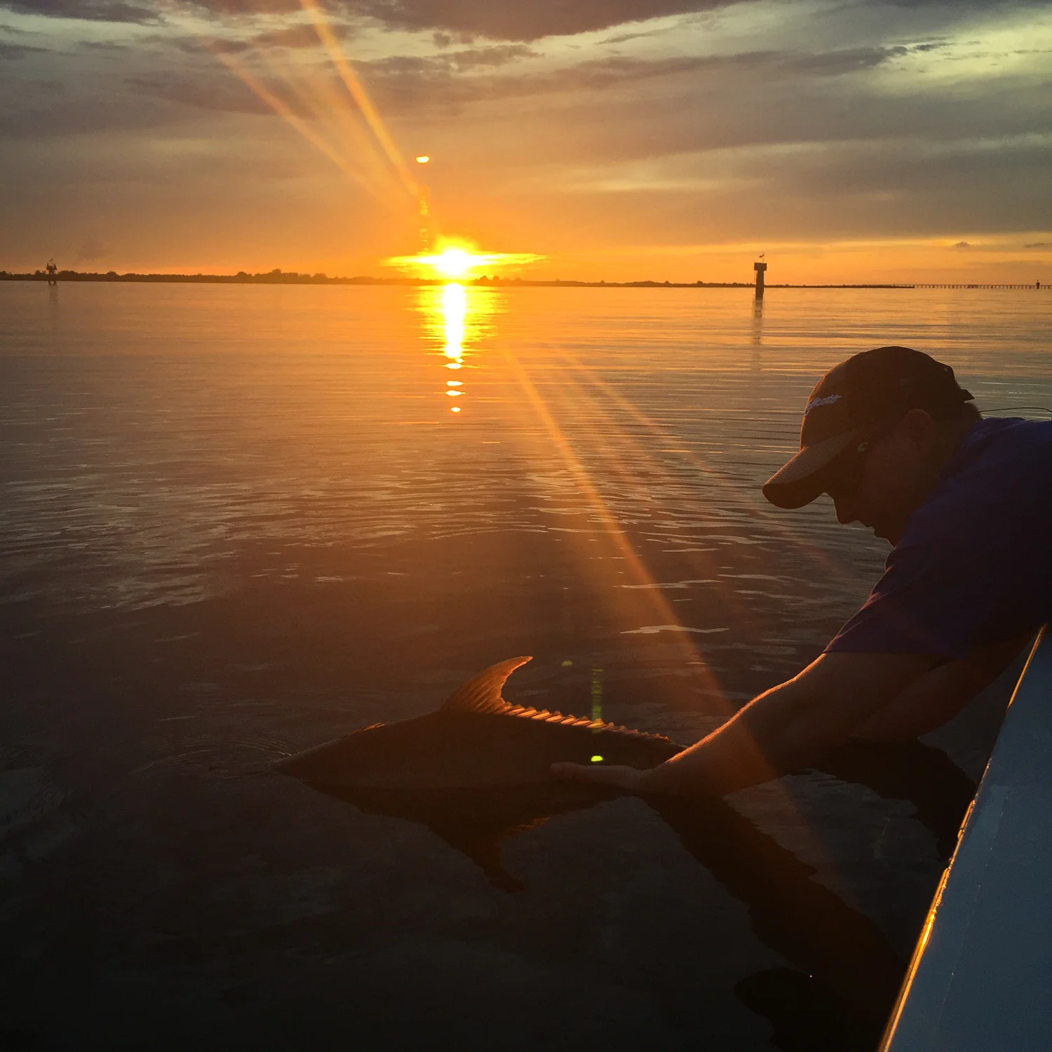 Underrated - Fly Fishing For The Underdog with Southern Fly Expeditions