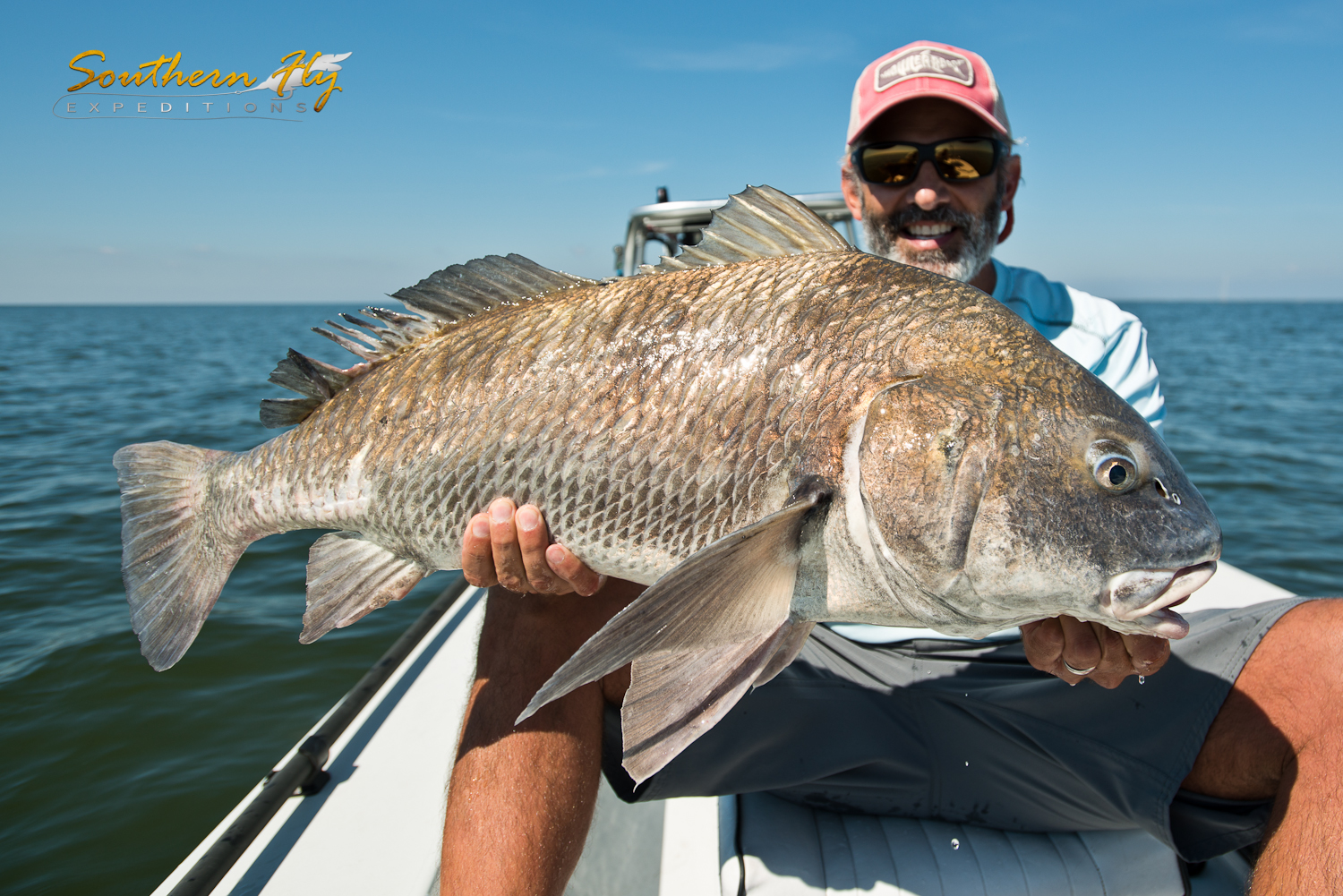 Bull Red Action in Louisiana