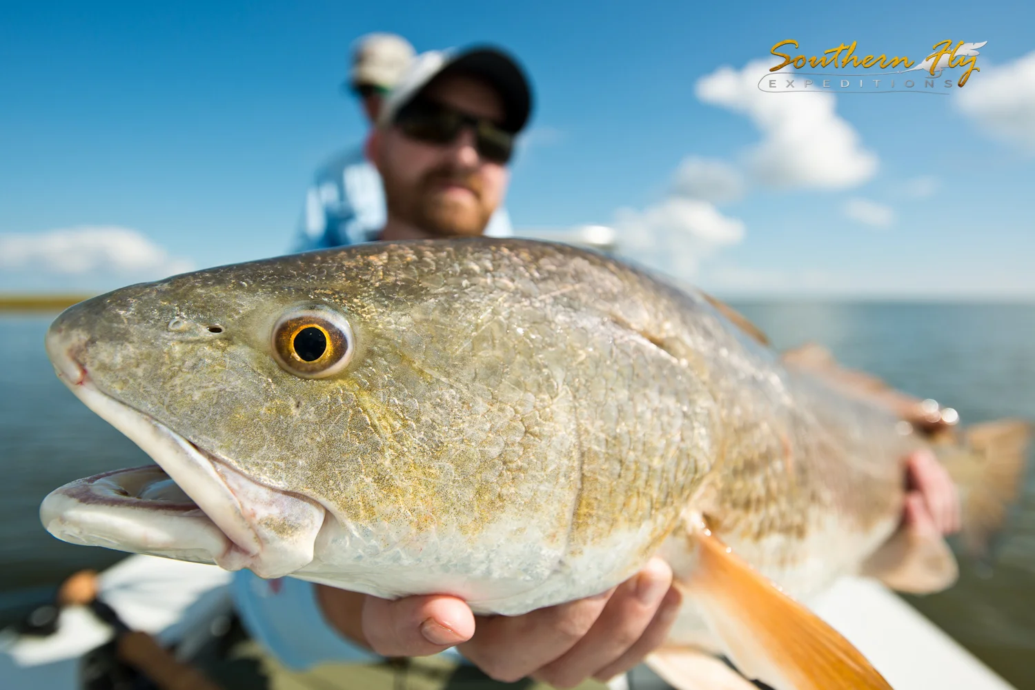Redfish Fishing Charter