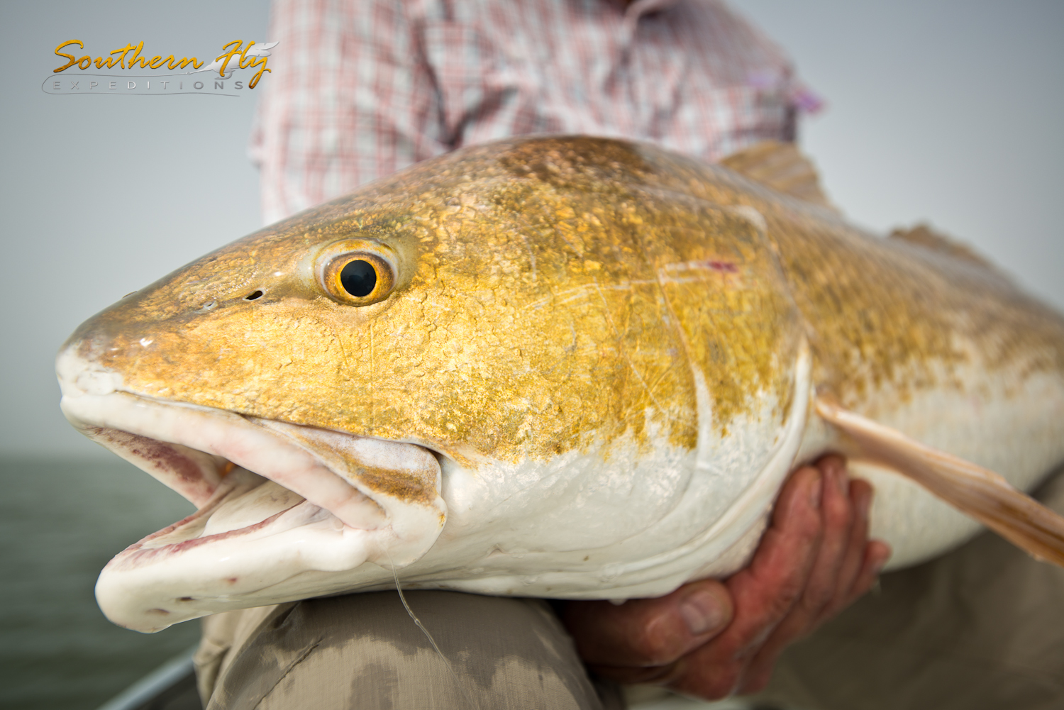 Red Fish Fishing Guide - Captain Brandon Keck