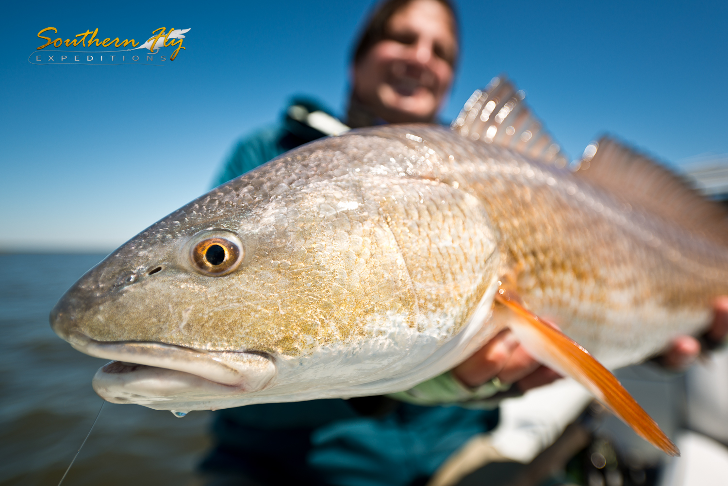 Casting for Redfish hooks a Good Sized Redfish Southern Fly Expeditions New Orleans Louisiana Fly Fishing