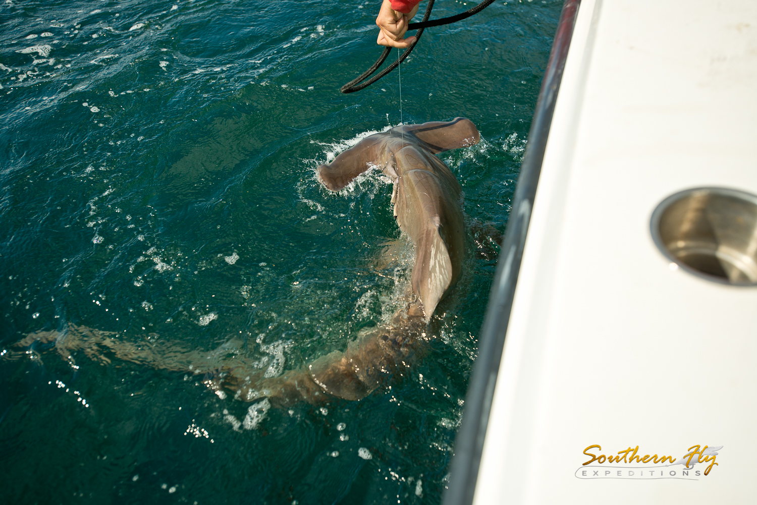 2016-07-15-Southern-Fly-Expeditions-TrollNaked-1.jpg