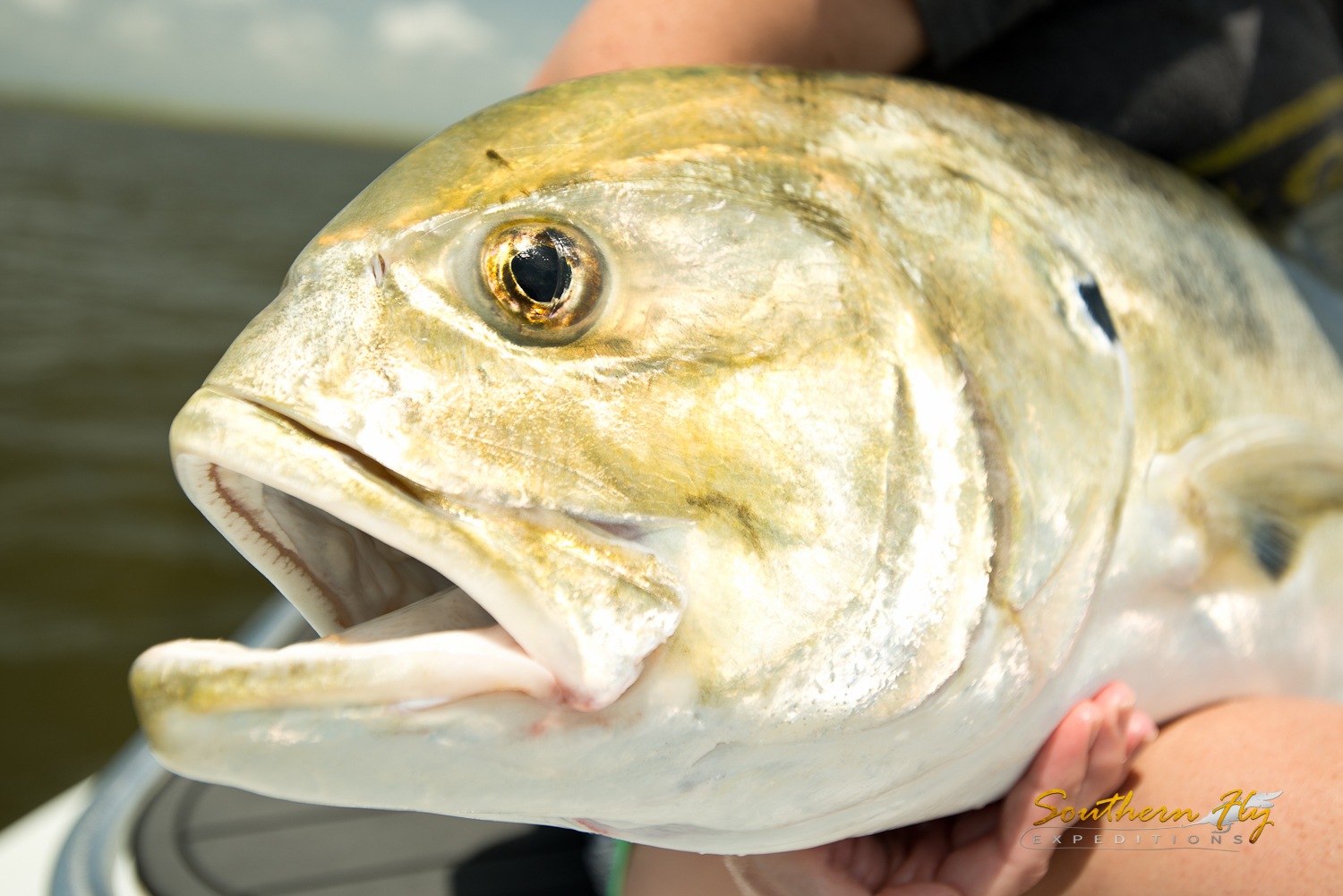 2016-07-28-Southern-Fly-Expeditions-EasyMac-4.jpg
