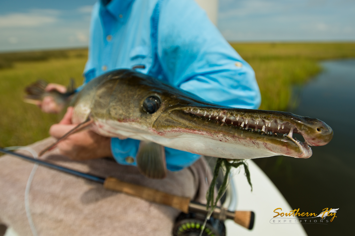 2016-08-29-Southern-Fly-Expeditions-MartinPick-6.jpg