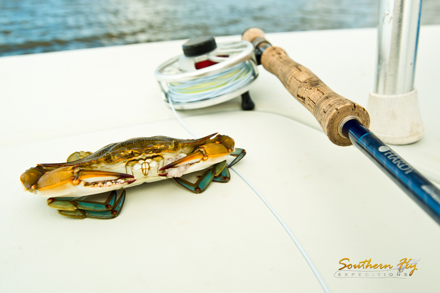 2016-10-06_SouthernFlyExpeditions_CarrieAndMichaelDugan-2.jpg