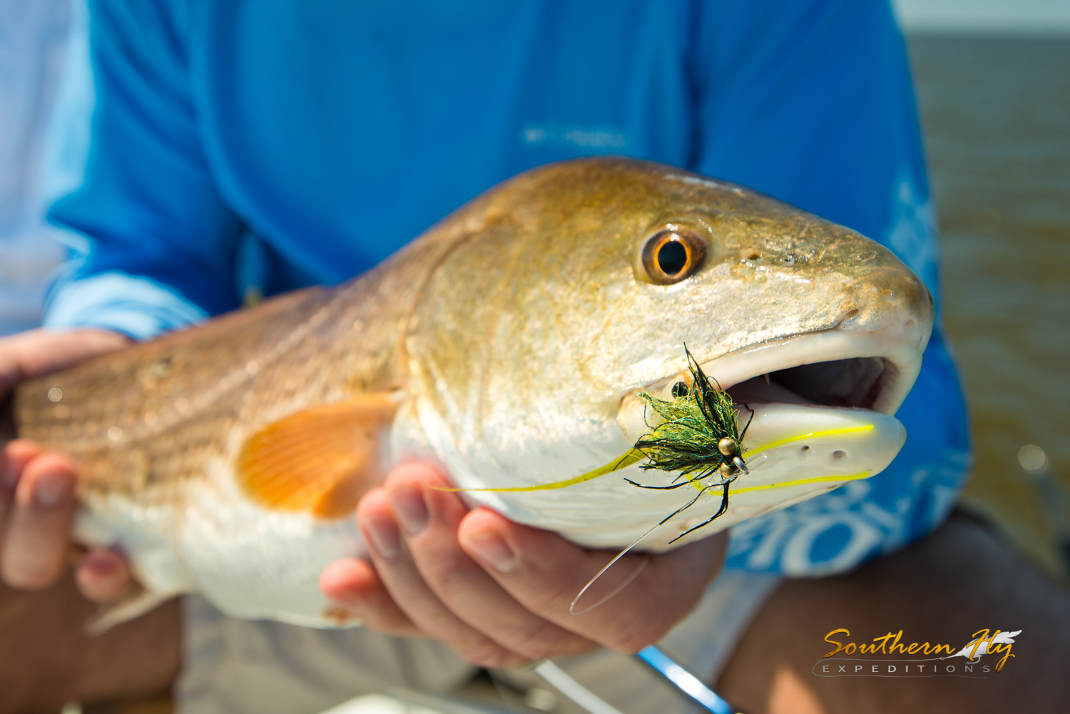 2016-10-08-09_SouthernFlyExpeditions_DeeWint-3.jpg