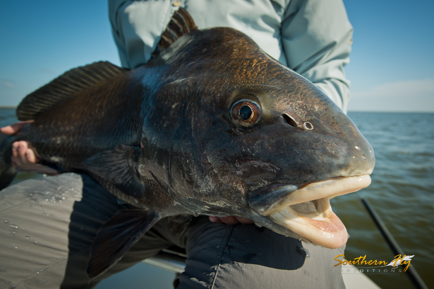2016-10-29_SouthernFlyExpeditions_JettMorris-2.jpg