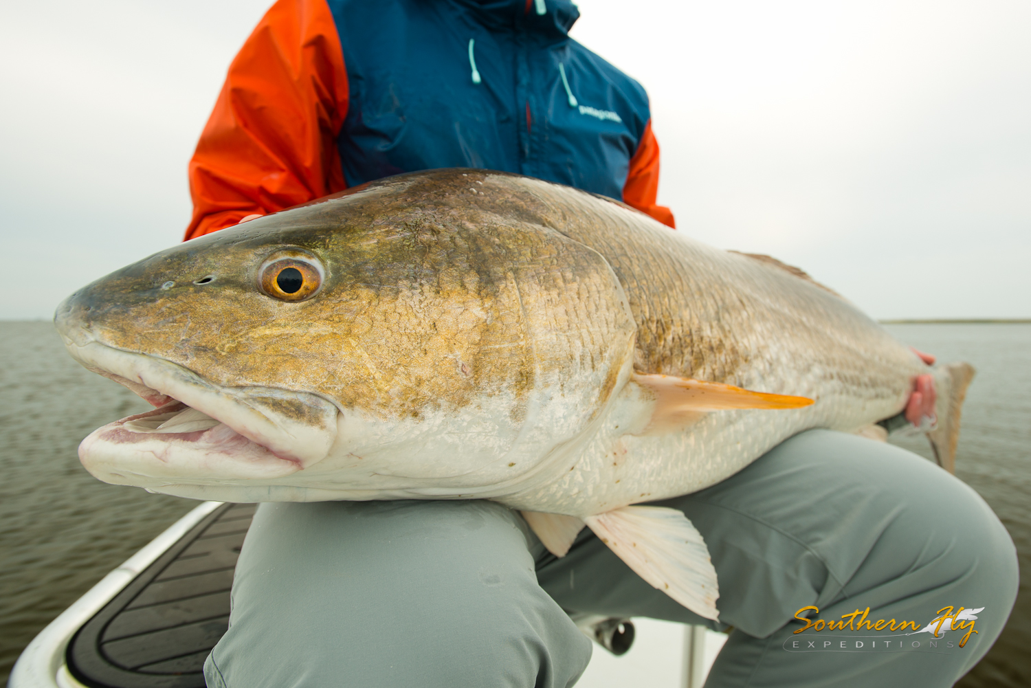 2016-11-13-15_SouthernFlyExpeditions_WesWillard_and_JacobKing-10.jpg