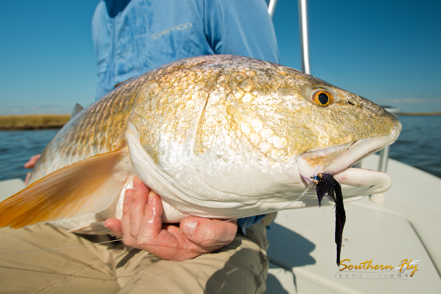 2016-11-16-18_SouthernFlyExpeditions_RichEpsteinGroup-11.jpg