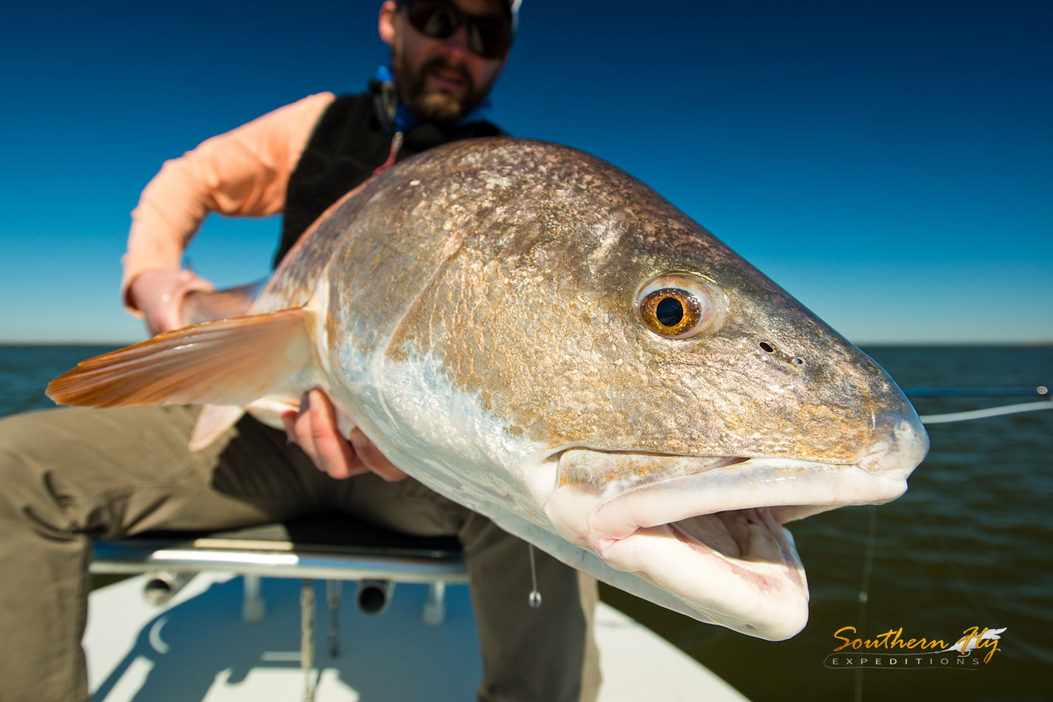 fly fishing for huge redfish in louisiana with Captain Brandon Keck and Southern Fly Expeditions 