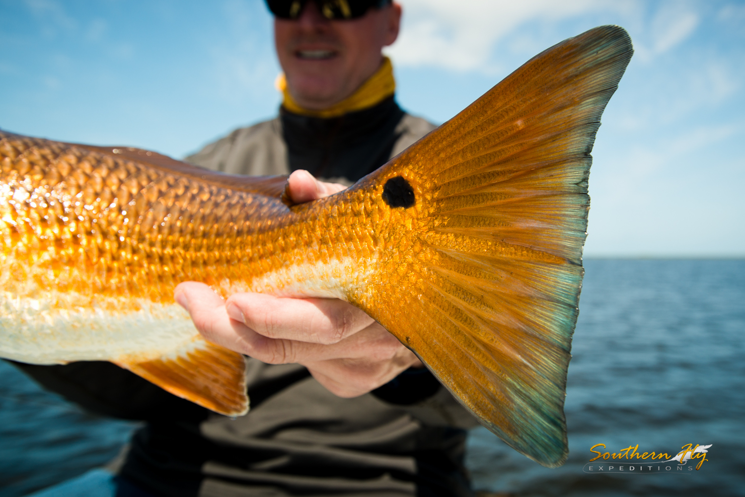 Southern Fly Expeditions Captain Brandon Keck Redfish fishing new orleans fly fishing 