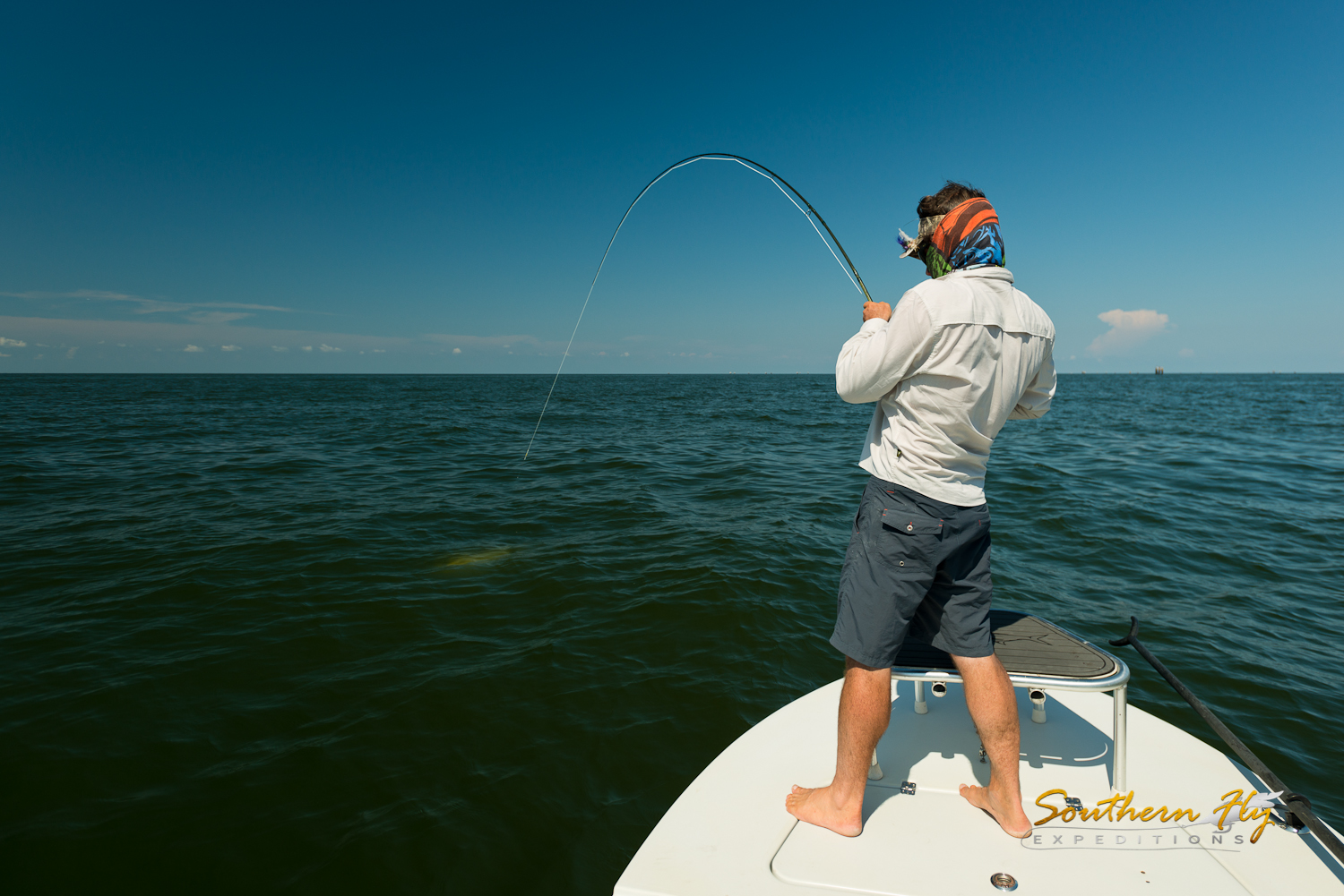 Southern Fly Expeditions — Jack Crevalle - GT's of the Gulf of Mexico - Fly  Fishing in New Orleans, Louisiana - Louisiana Fly fishing Guide New  Orleans, Louisiana