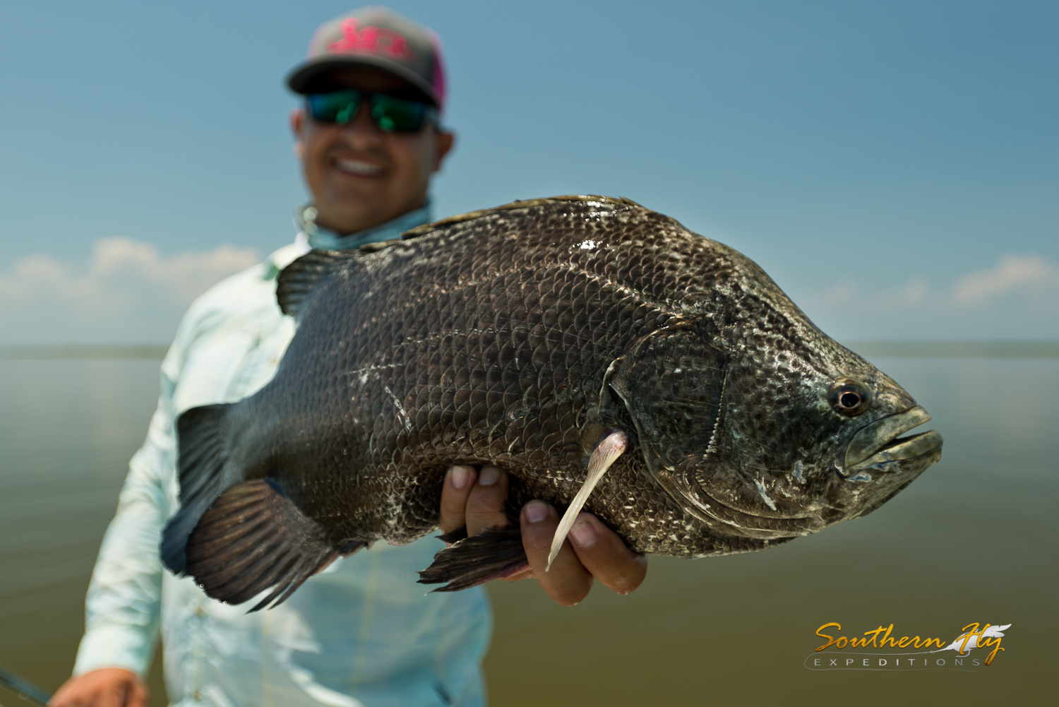 Southern Fly Expeditions — Jack Crevalle - GT's of the Gulf of Mexico - Fly  Fishing in New Orleans, Louisiana - Louisiana Fly fishing Guide New Orleans,  Louisiana