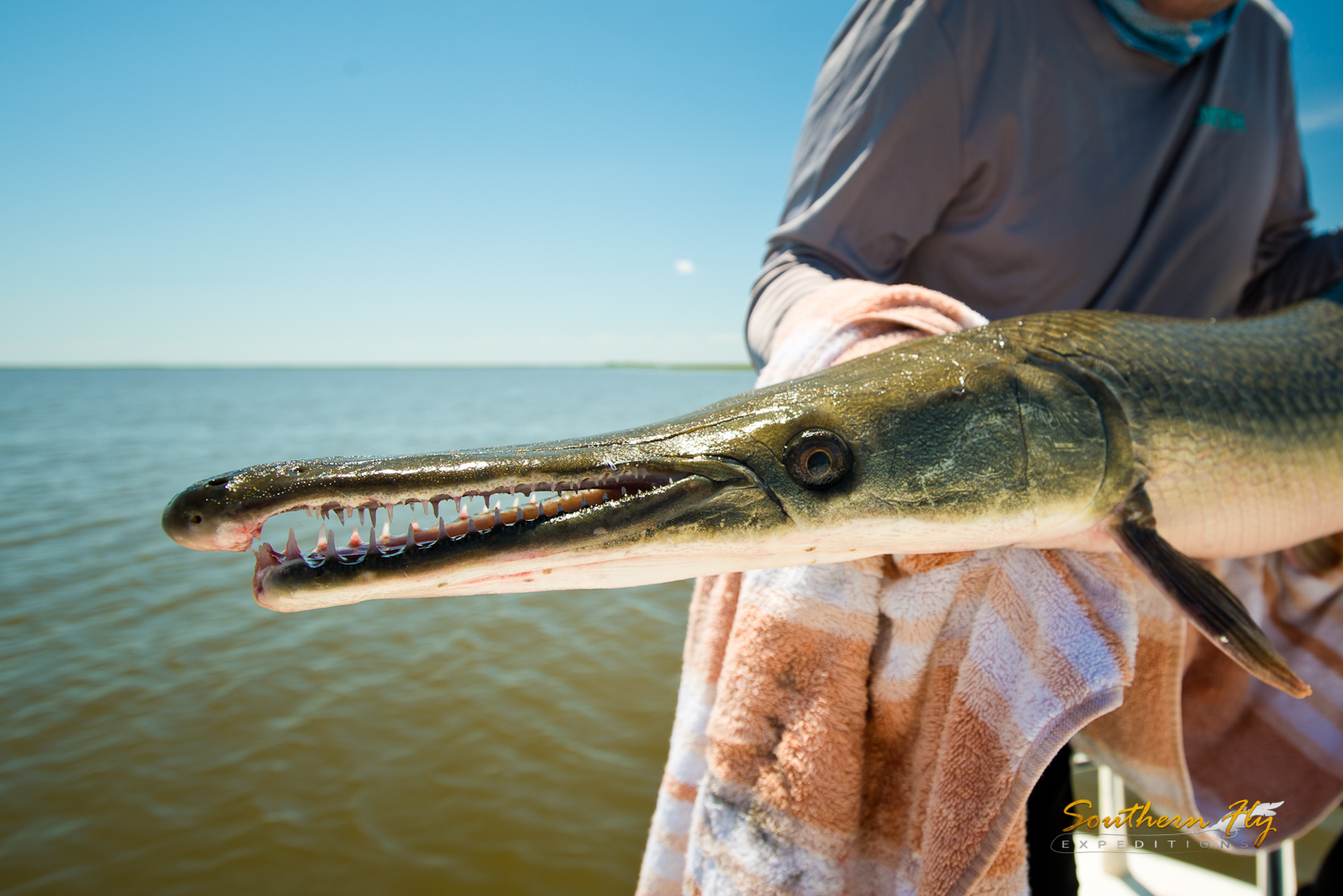 Salted Flats Fly Fishing New Orleans Fly Fishing Guide Brandon Keck