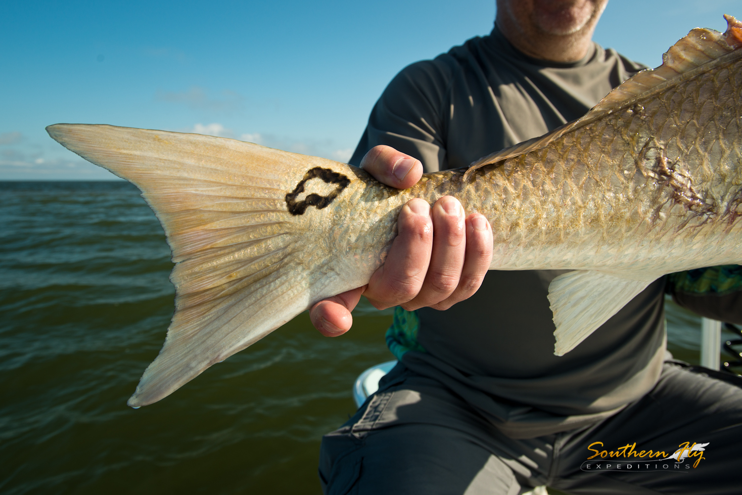 Fishing for redfish with Southern Fly Expeditions and captain brandon keck in New Orleans Louisiana 