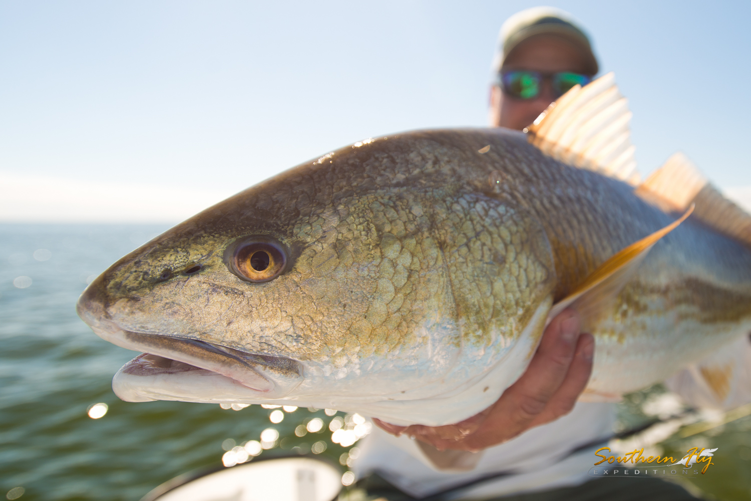 how to catch Giant Redfish in Louisiana with Southern Fly Expeditions 