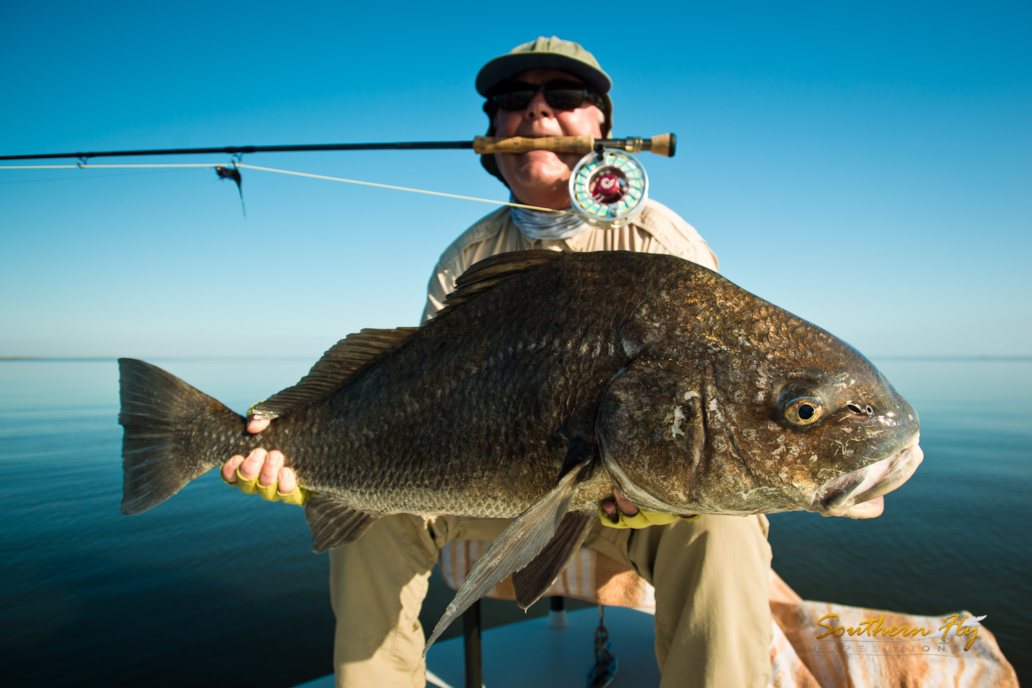 Sight Fishing Black Drum New Orleans Southern Fly Expeditions