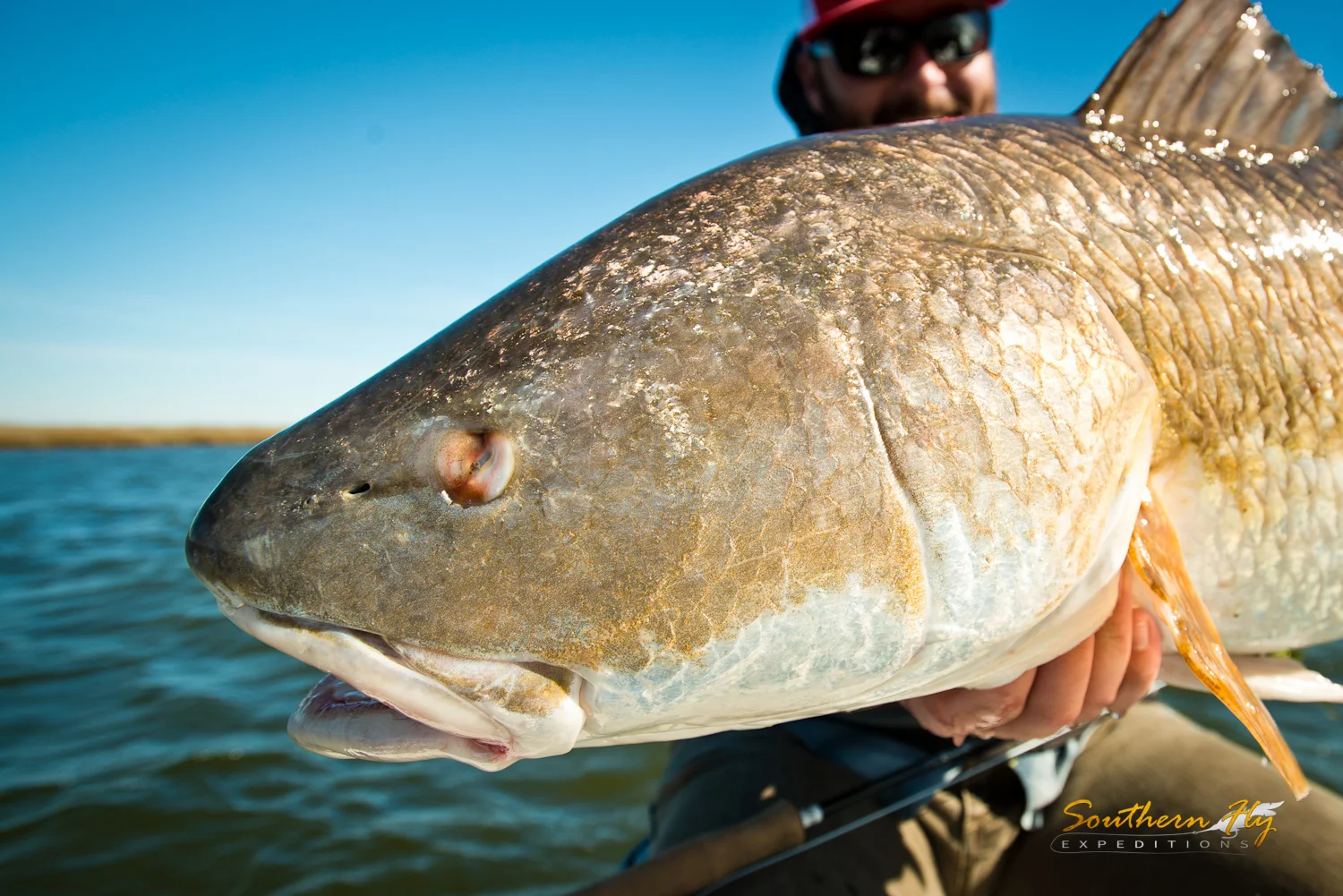 Southern Fly Expeditions Louisiana Fly Fishing