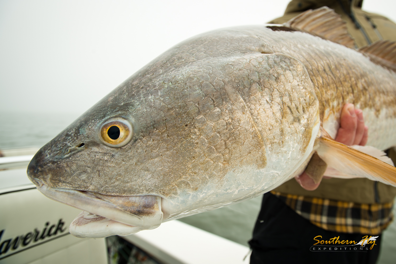 fly fishing for redfish in Hopedale Louisiana with Captain Brandon Keck and Southern Fly Expeditions 