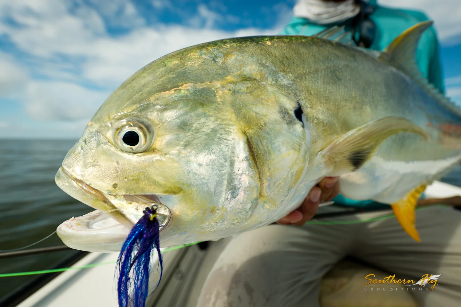 2018-10-19-20_SouthernFlyExpeditions_NewOrleans_BillMackieAndScottMackie-4.jpg
