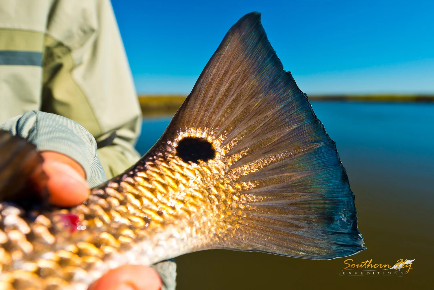 2018-10-27_SouthernFlyExpeditions_NewOrleans_JohnTaylorAndNigelHorsman-5.jpg