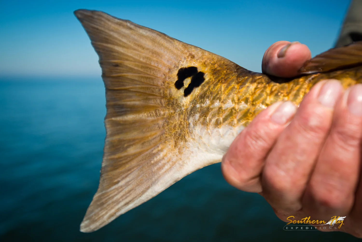 2018-10-30_SouthernFlyExpeditions_NewOrleans_LeonardLaCasseAndKurtJohnson-5.jpg