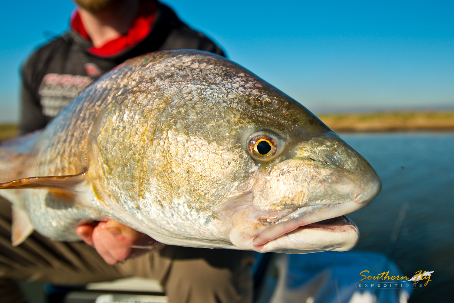 2018-11-03_SouthernFlyExpeditions_NewOrleans_NickLooper-2.jpg