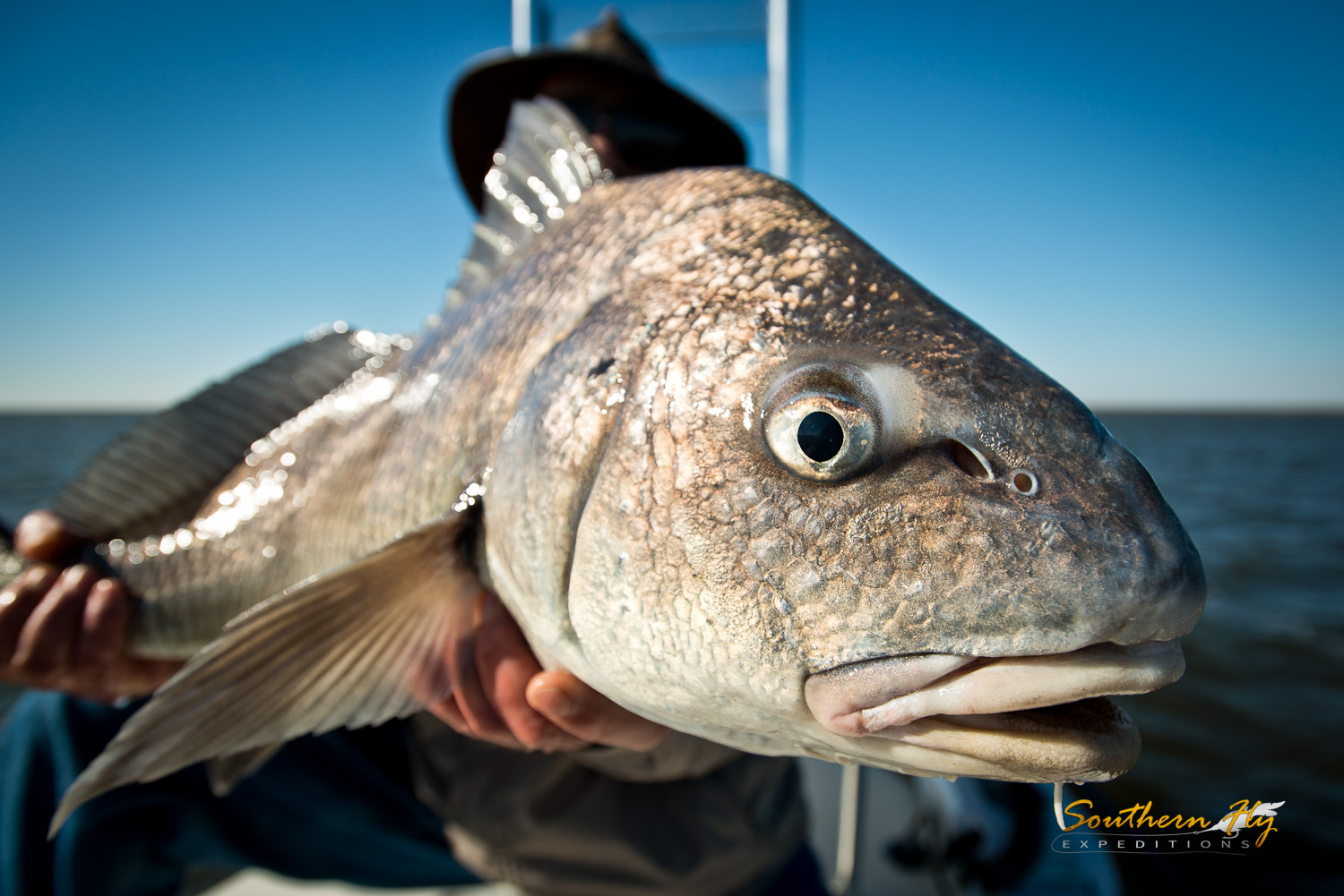 2018-12-10_SouthernFlyExpeditions_NewOrleans_PhilipAnthony-3.jpg