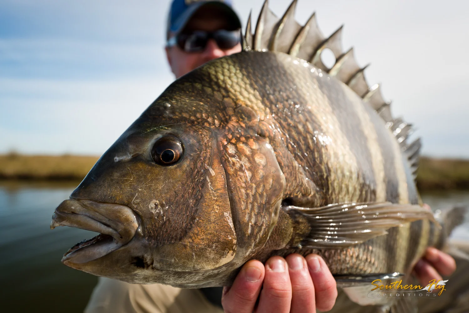 2019-01-26-27_SouthernFlyExpeditions_NewOrleans_RobertBobWeinbergAndJustinWeinberg-6.jpg