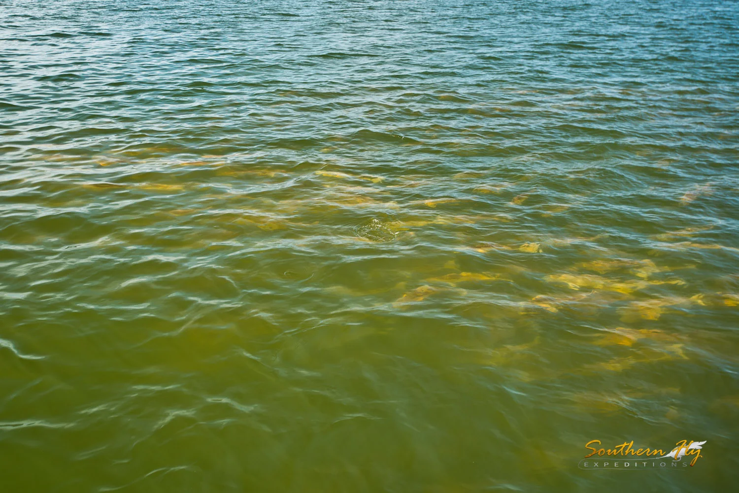 2019-03-23_SouthernFlyExpeditions_NewOrleans_KirklandTuckerClarksonAndRebecca-4.jpg