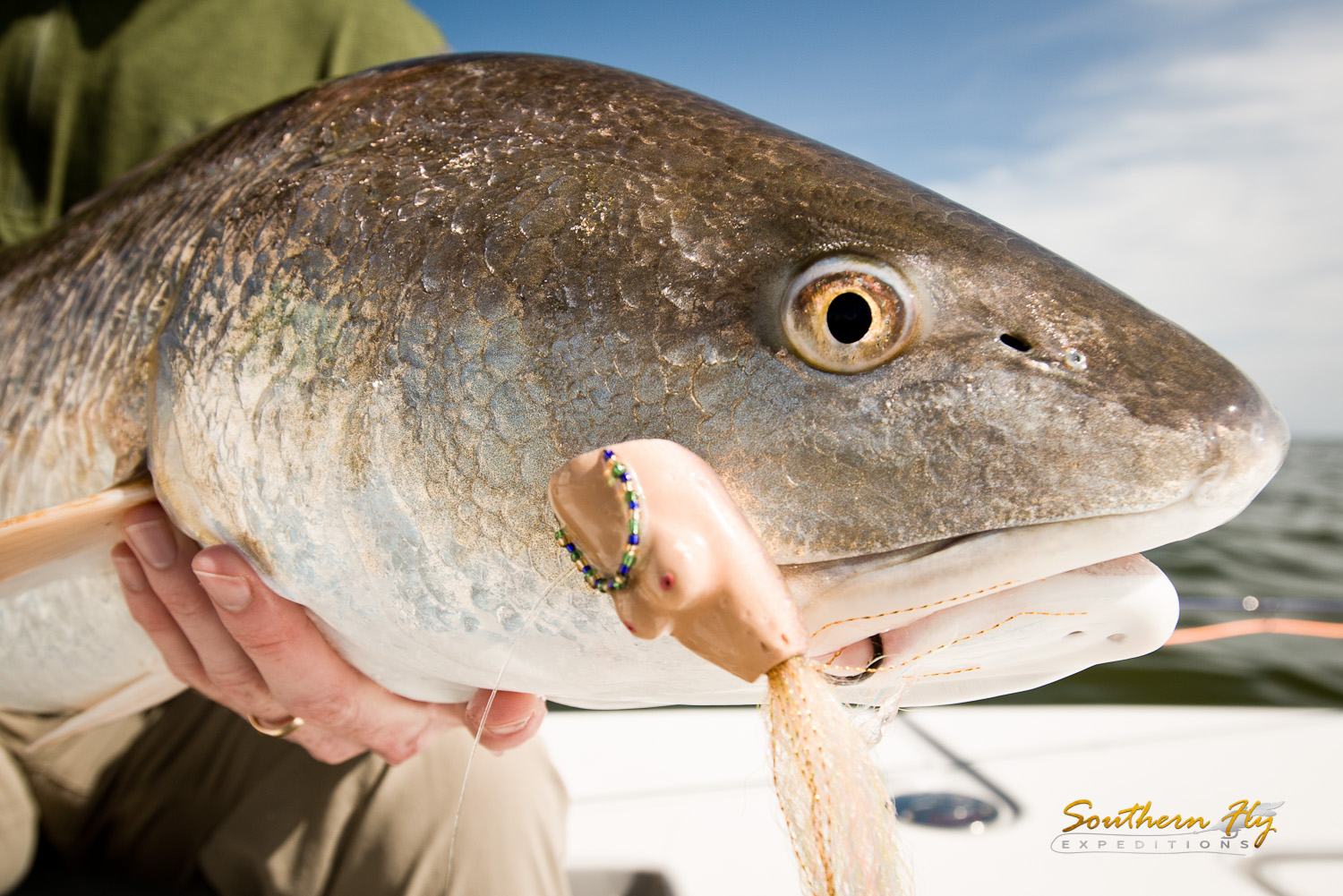 2019-03-24_SouthernFlyExpeditions_NewOrleans_HarrisonGoldenAndPatrickGolden-3.jpg