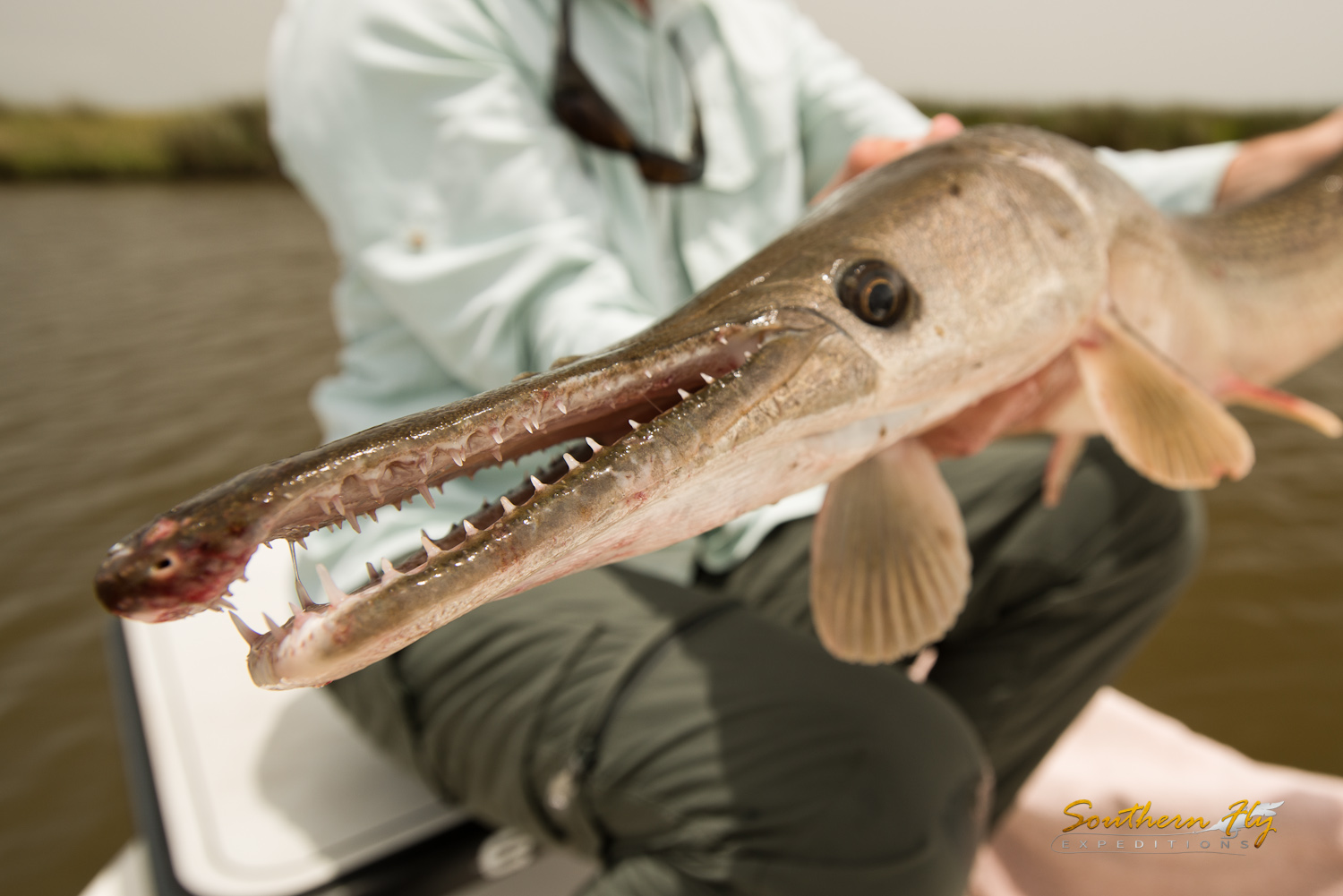 2019-06-25_SouthernFlyExpeditions_NewOrleans_WalterKruse-3.jpg