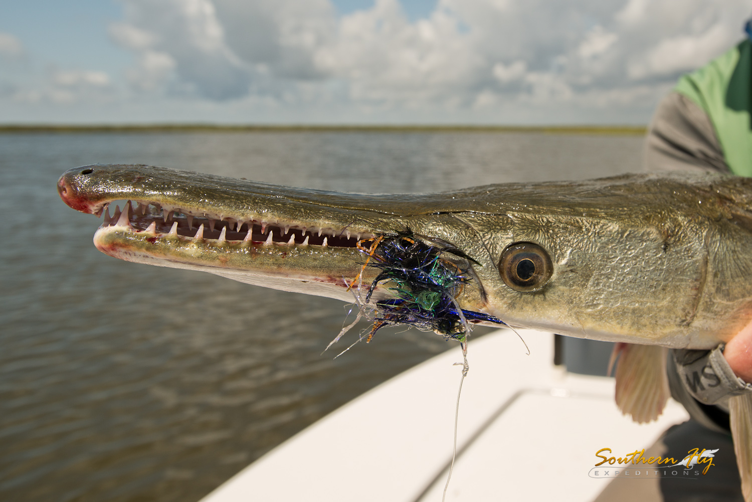 2019-06-29-07-01_SouthernFlyExpeditions_NewOrleans_DanWilcoxAndBrentByquist_Yellowdog-3.jpg