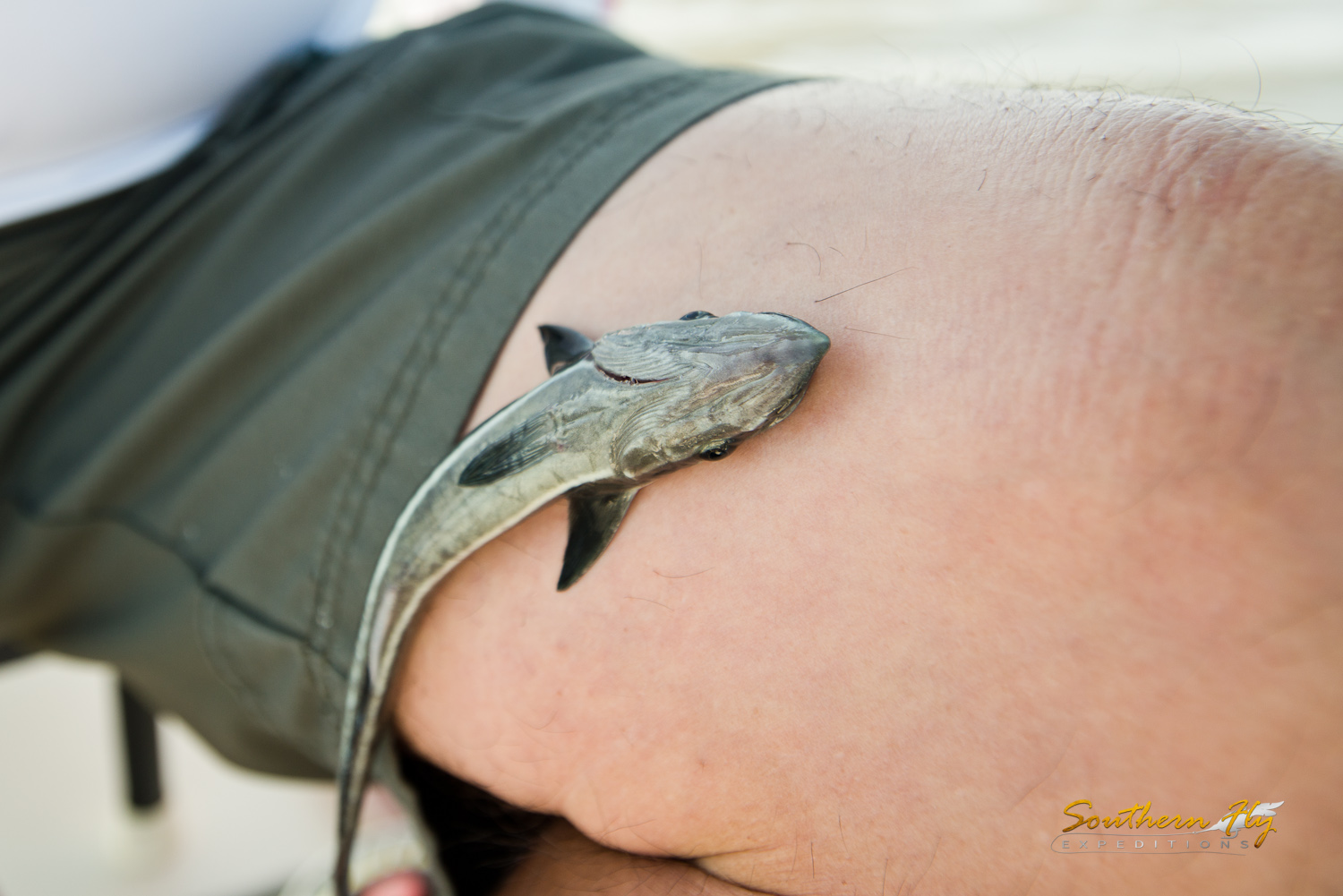 2019-08-11_SouthernFlyExpeditions_NewOrleans_JohnIriguchi-1.jpg