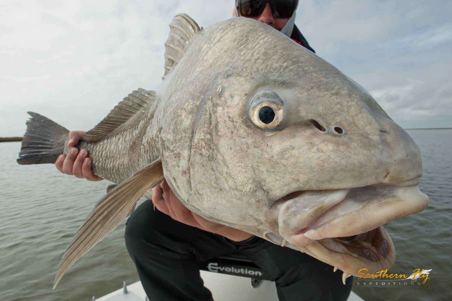 2020-01-14-15_SouthernFlyExpeditions_NewOrleans_AlanWalkenhorstAndChadRichards-9.jpg