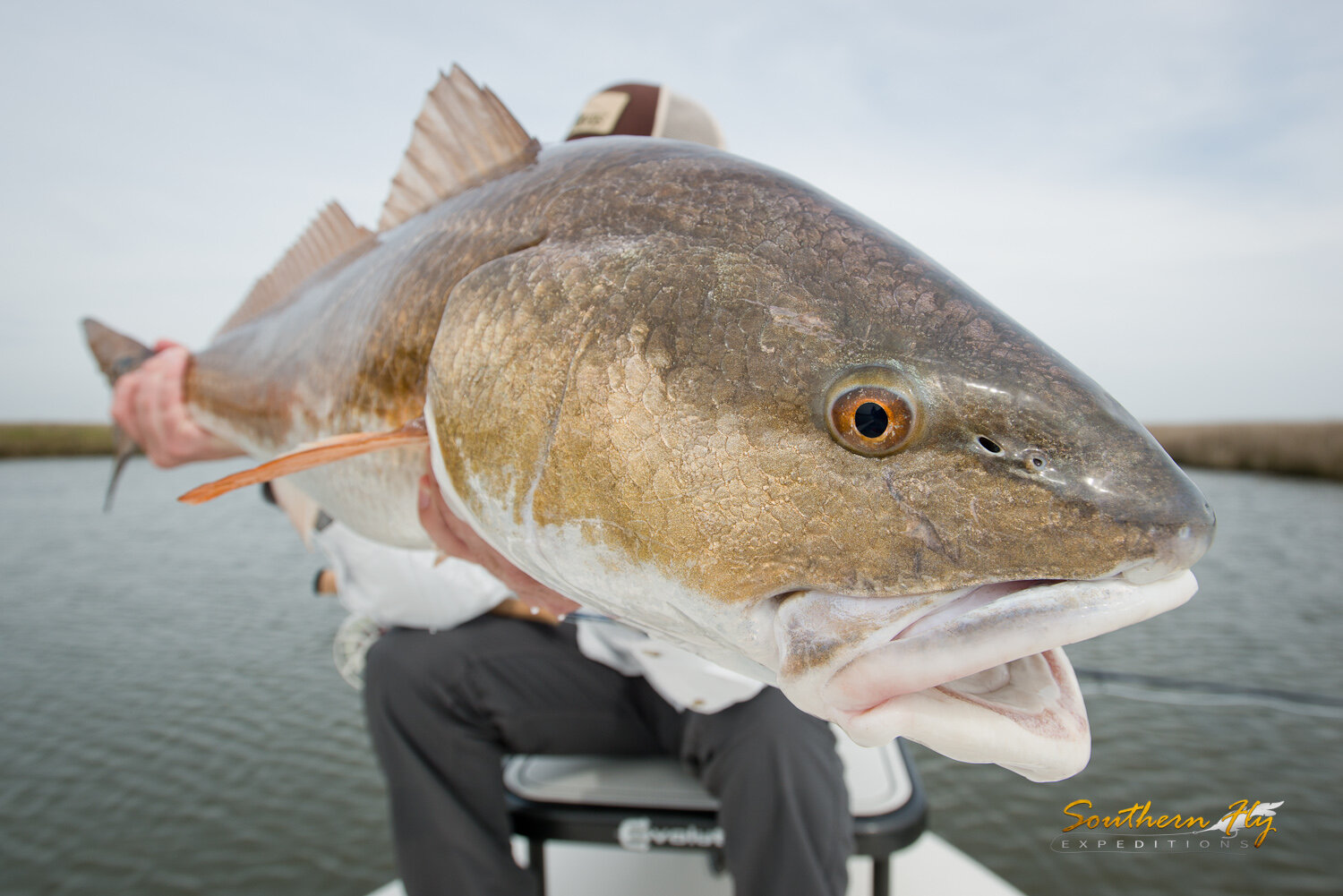 2020-03-02-03_SouthernFlyExpeditions_NewOrleans_JoeyMcGehee-7.jpg