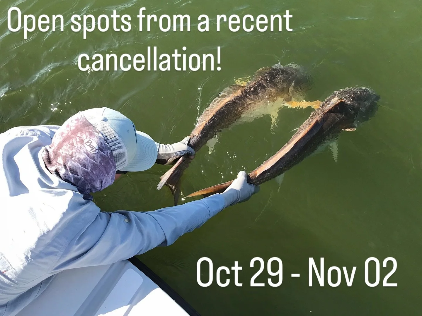 Hot dates are open from a recent cancellation! Venice or Hopedale! Oct 29 - Nov 02