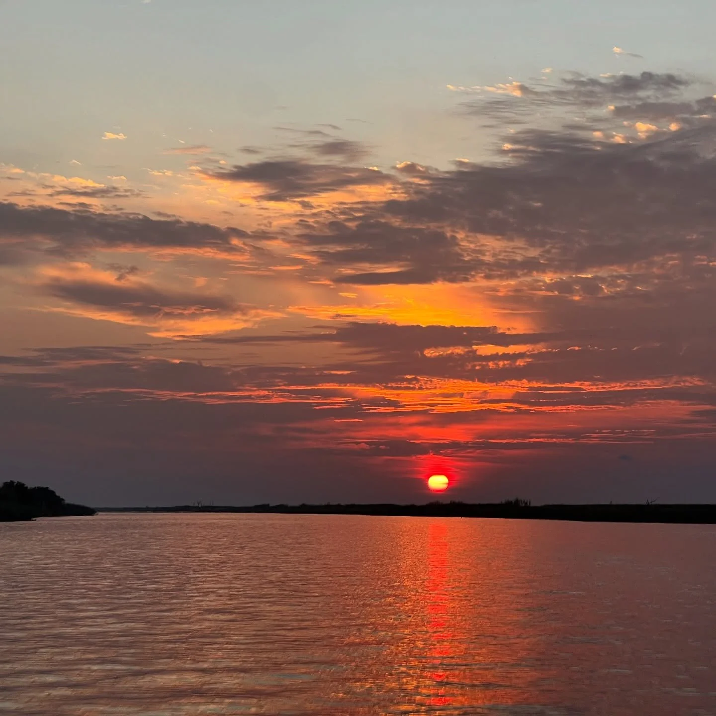 Doesn&rsquo;t get much prettier than this down here in south Louisiana.