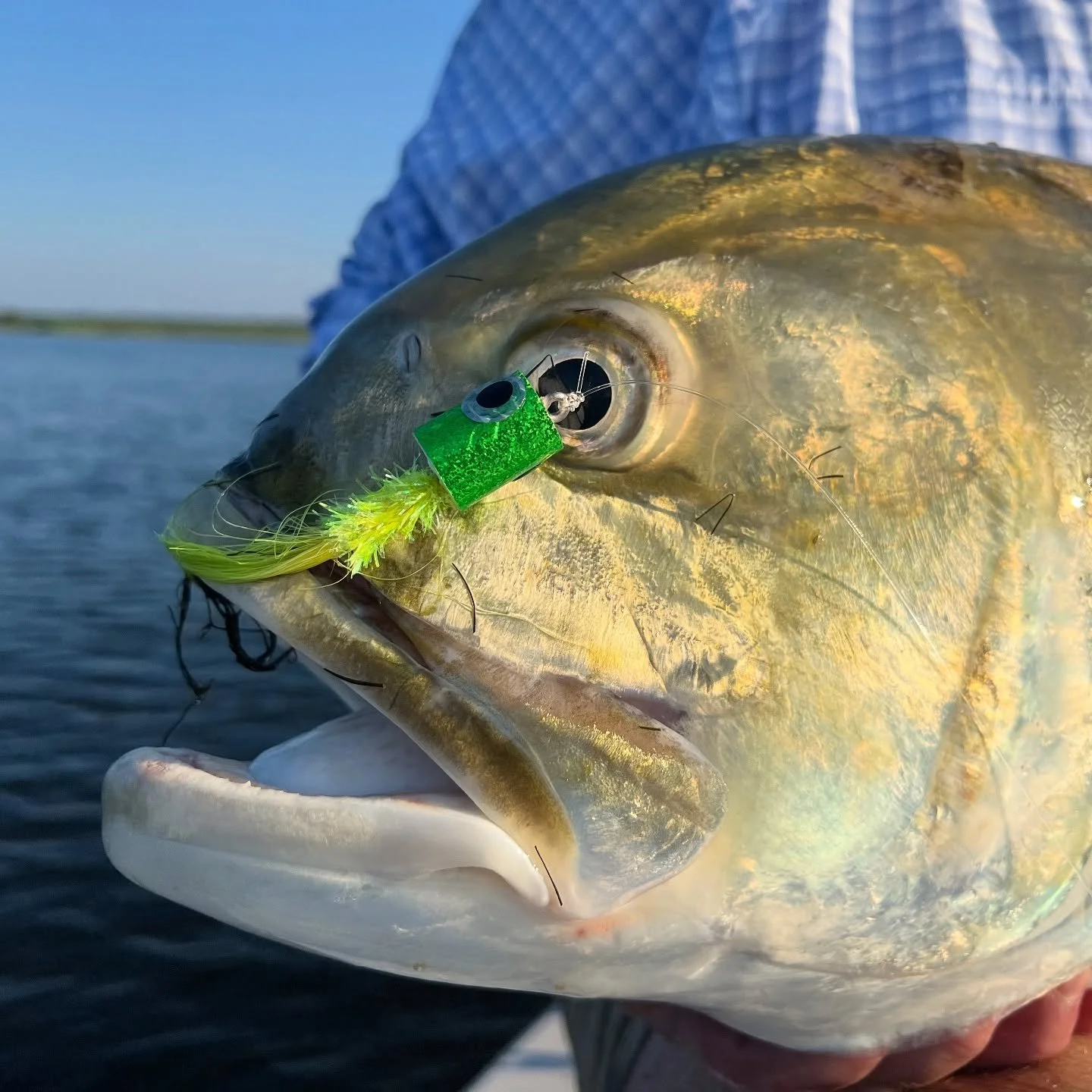 Deleted the meaningful caption I wrote&hellip; Here&rsquo;s a bad ass fish caught on a popper in very shallow water.